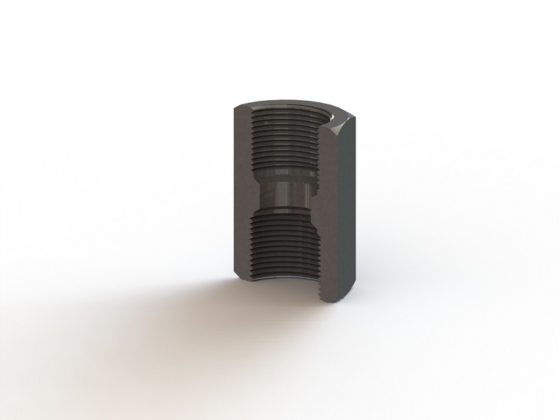 BSPP Female to NPT Female